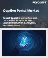 Global Captive Portal Market