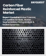 Global Carbon Fiber Reinforced Plastic Market