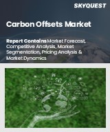 Global Carbon Offsets Market