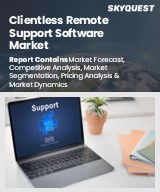 Global Clientless Remote Support Software Market