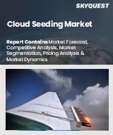 Global Cloud Seeding Market