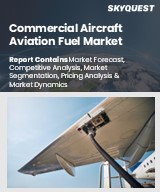 Global Commercial Aircraft Aviation Fuel Market