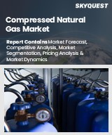 Global Compressed Natural Gas Market
