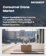 Global Consumer Drone Market