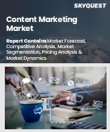 Global Content Marketing Market