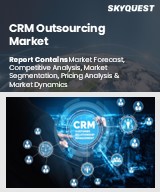 Global CRM Outsourcing Market
