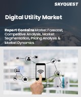 Global Digital Utility Market