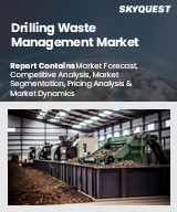 Global Drilling Waste Management Market