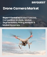 Global Drone Camera Market