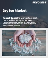 Global Dry Ice Market