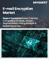 Global E-mail Encryption Market