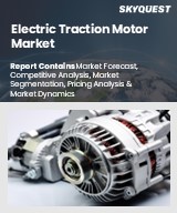 Global Electric Traction Motor Market