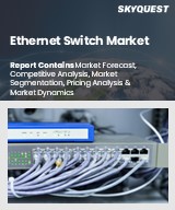 Global Ethernet Switch Market