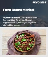 Global Fava Beans Market