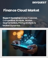 Global Finance Cloud Market