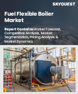 Fuel Flexible Boiler Market