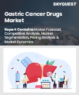 Global Gastric Cancer Drugs Market