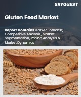 Gluten Feed Market