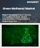 Global Green Methanol Market