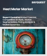 Global Heat Meter Market