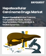 Hepatocellular Carcinoma Drugs Market