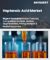 Global Heptanoic Acid Market
