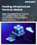 Global Hosting Infrastructure Services Market