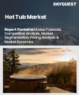 Global Hot Tub Market