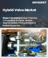 Global Hybrid Valve Market