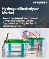 Global Hydrogen Electrolyzer Market