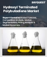 Global Hydroxyl Terminated Polybutadiene Market