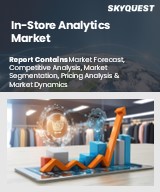 Global In-Store Analytics Market