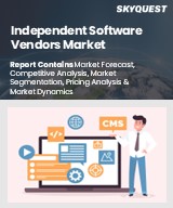Global Independent Software Vendors Market