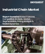 Industrial Chain Market Insights
