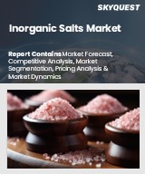 Global Inorganic Salts Market