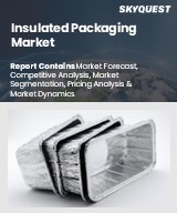 Global Insulated Packaging Market