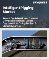 Global Intelligent Pigging Market
