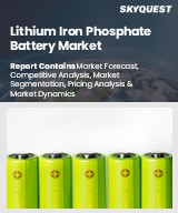 Global Lithium Iron Phosphate Battery Market