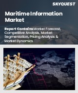 Global Maritime Information Market