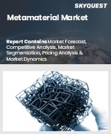 Global Metamaterial Market