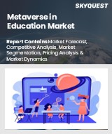 Global Metaverse in Education Market