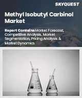 Global Methyl Isobutyl Carbinol Market
