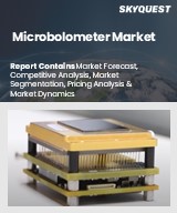 Global Microbolometer Market