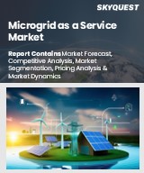 Global Microgrid as a Service Market