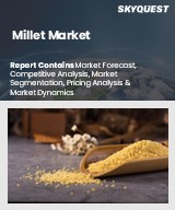 Millets Market