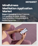 Global Mindfulness Meditation Application Market