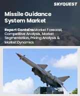 Global Missile Guidance System Market