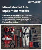 Global Mixed Martial Arts Equipment Market