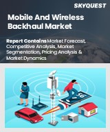Global Mobile and Wireless Backhaul Market