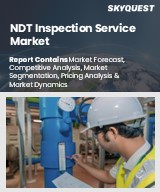 NDT Inspection Service Market